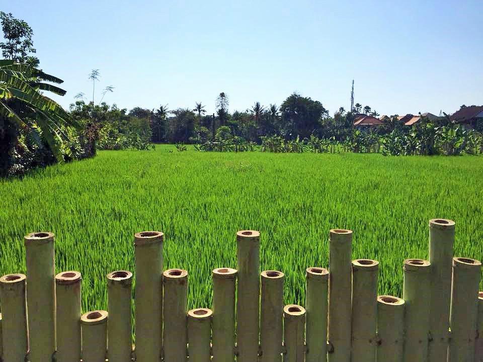 Bali Green Hostel 塞米亚克 外观 照片