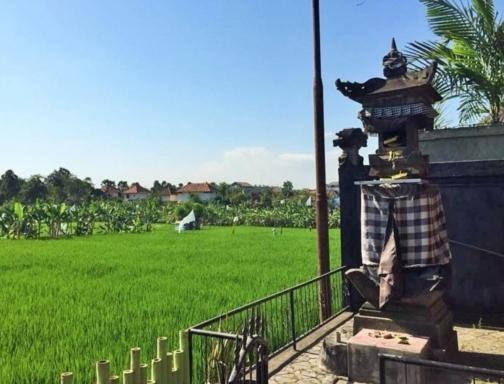 Bali Green Hostel 塞米亚克 外观 照片